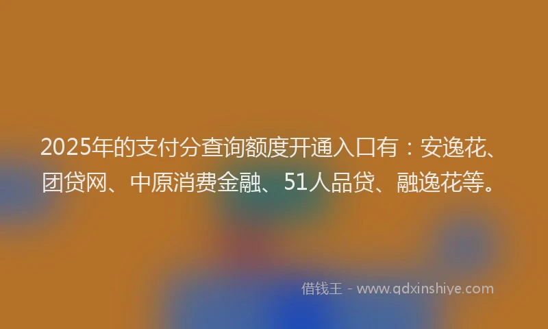 2025年的支付分查询额度开通入口有：安逸花、团贷网、中原消费金融、51人品贷、融逸花等。