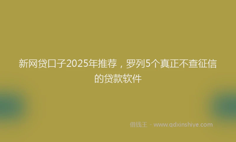 新网贷口子2025年推荐，罗列5个真正不查征信的贷款软件