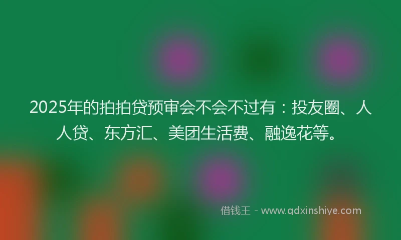 2025年的拍拍贷预审会不会不过有：投友圈、人人贷、东方汇、美团生活费、融逸花等。