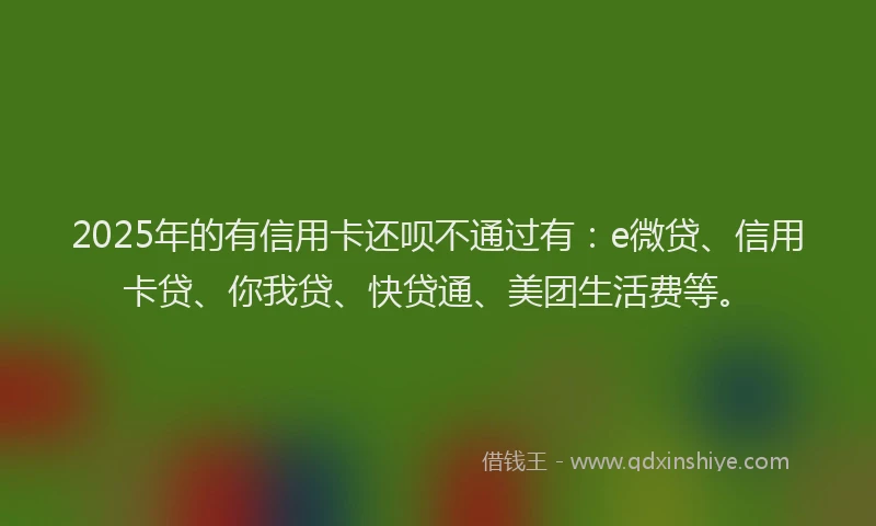 2025年的有信用卡还呗不通过有：e微贷、信用卡贷、你我贷、快贷通、美团生活费等。