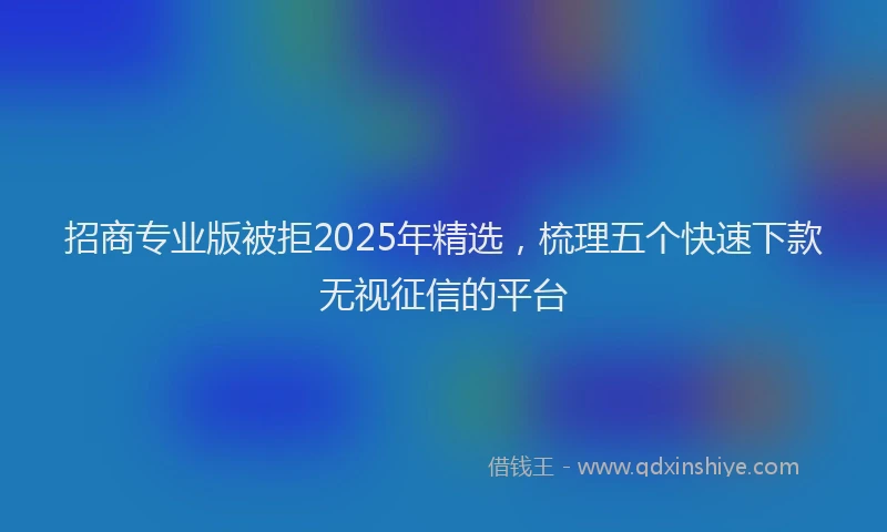 招商专业版被拒2025年精选，梳理五个快速下款无视征信的平台