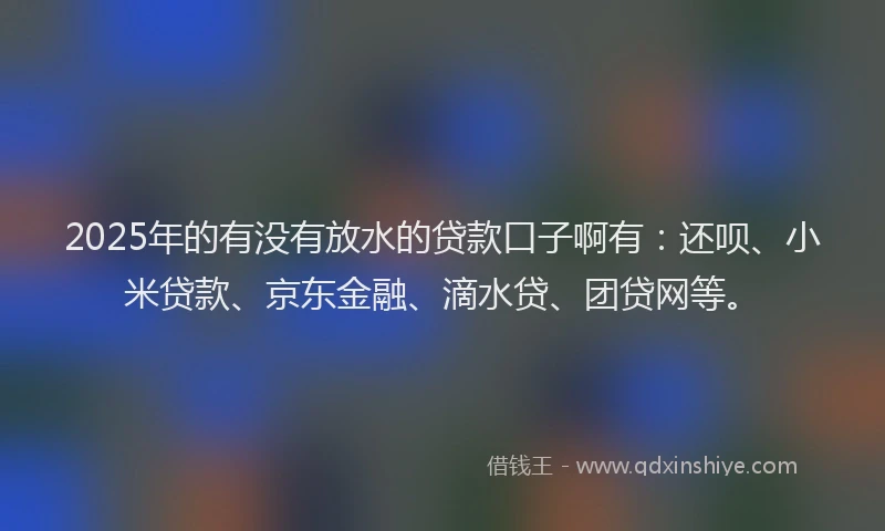 2025年的有没有放水的贷款口子啊有：还呗、小米贷款、京东金融、滴水贷、团贷网等。