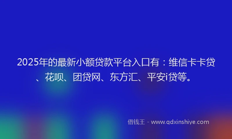 2025年的最新小额贷款平台入口有：维信卡卡贷、花呗、团贷网、东方汇、平安i贷等。