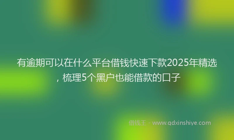 有逾期可以在什么平台借钱快速下款2025年精选，梳理5个黑户也能借款的口子
