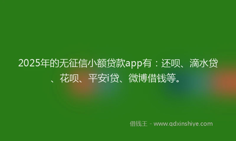 2025年的无征信小额贷款app有：还呗、滴水贷、花呗、平安i贷、微博借钱等。