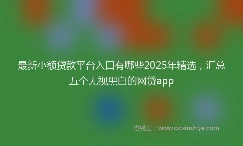 最新小额贷款平台入口有哪些2025年精选，汇总五个无视黑白的网贷app