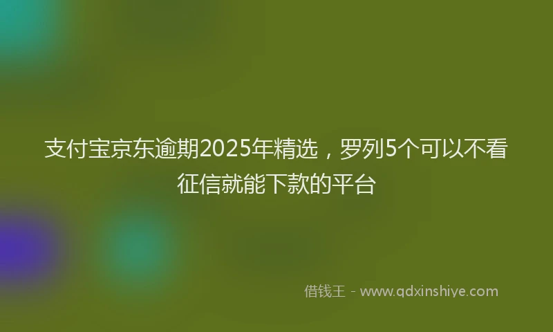 支付宝京东逾期2025年精选，罗列5个可以不看征信就能下款的平台
