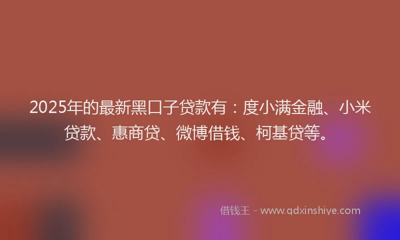 2025年的最新黑口子贷款有：度小满金融、小米贷款、惠商贷、微博借钱、柯基贷等。