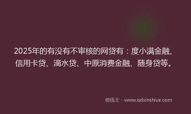 2025年的有没有不审核的网贷有：度小满金融、信用卡贷、滴水贷、中原消费金融、随身贷等。