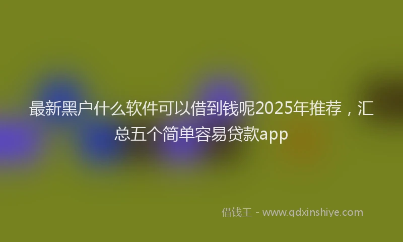 最新黑户什么软件可以借到钱呢2025年推荐，汇总五个简单容易贷款app