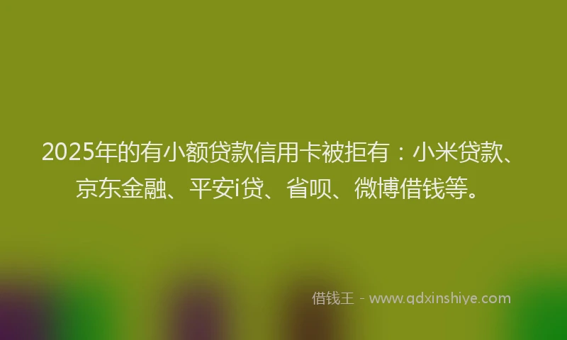 2025年的有小额贷款信用卡被拒有：小米贷款、京东金融、平安i贷、省呗、微博借钱等。