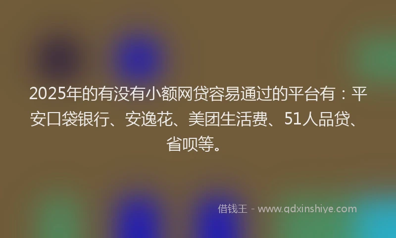2025年的有没有小额网贷容易通过的平台有：平安口袋银行、安逸花、美团生活费、51人品贷、省呗等。