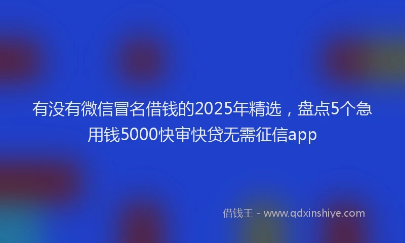 有没有微信冒名借钱的2025年精选，盘点5个急用钱5000快审快贷无需征信app