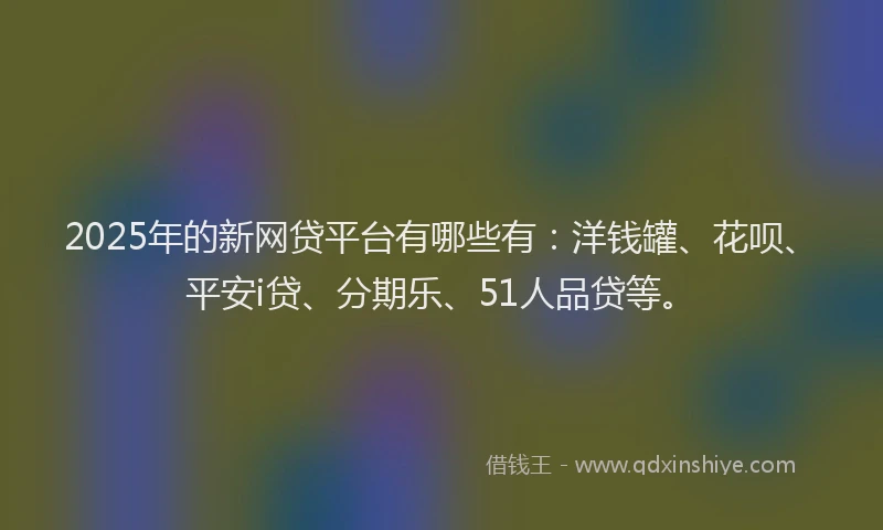 2025年的新网贷平台有哪些有:洋钱罐、花呗、平安i贷、分期乐、51人品贷等。