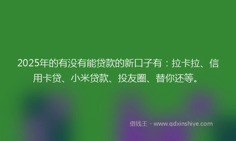2025年的有没有能贷款的新口子有：拉卡拉、信用卡贷、小米贷款、投友圈、替你还等。