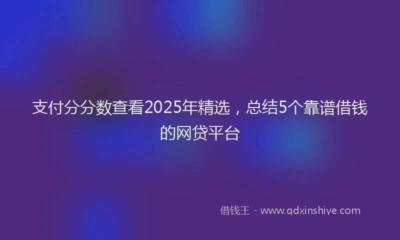 支付分分数查看2025年精选，总结5个靠谱借钱的网贷平台