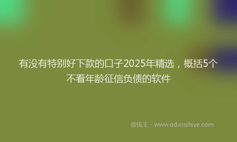 有没有特别好下款的口子2025年精选，概括5个不看年龄征信负债的软件