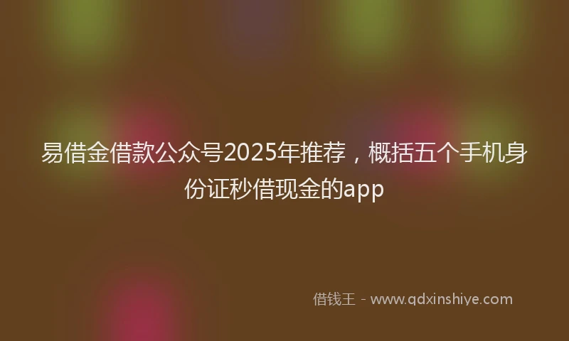 易借金借款公众号2025年推荐，概括五个手机身份证秒借现金的app