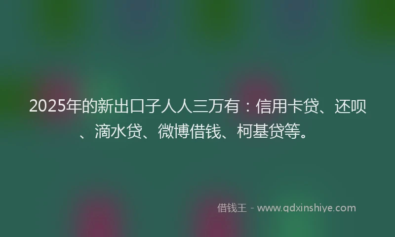 2025年的新出口子人人三万有：信用卡贷、还呗、滴水贷、微博借钱、柯基贷等。