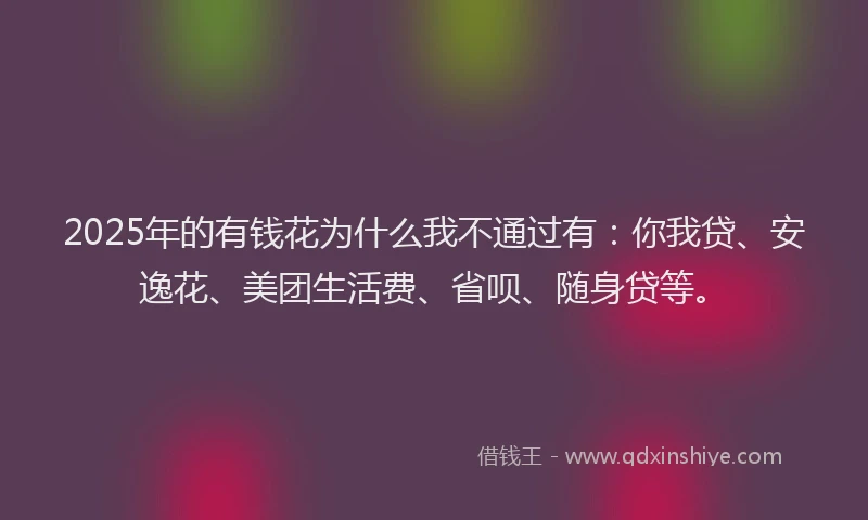 2025年的有钱花为什么我不通过有：你我贷、安逸花、美团生活费、省呗、随身贷等。