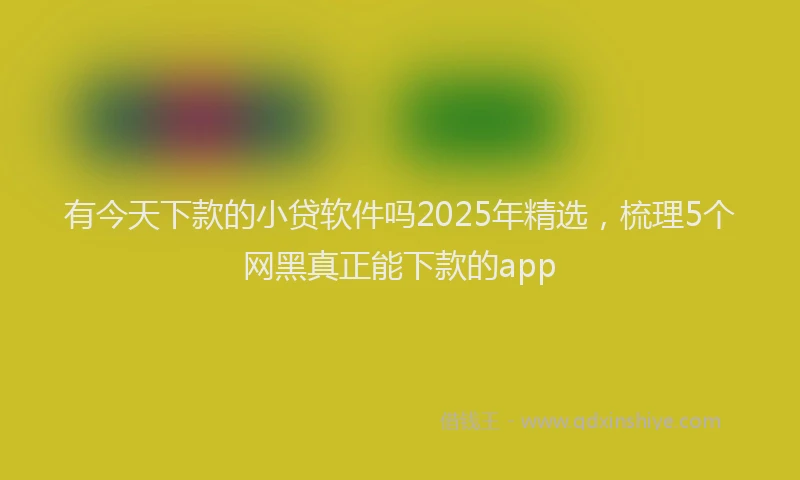 有今天下款的小贷软件吗2025年精选，梳理5个网黑真正能下款的app