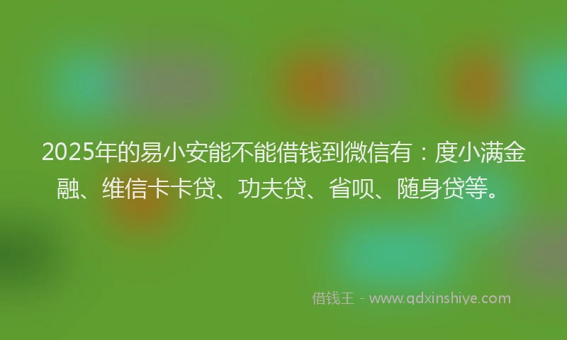 2025年的易小安能不能借钱到微信有：度小满金融、维信卡卡贷、功夫贷、省呗、随身贷等。