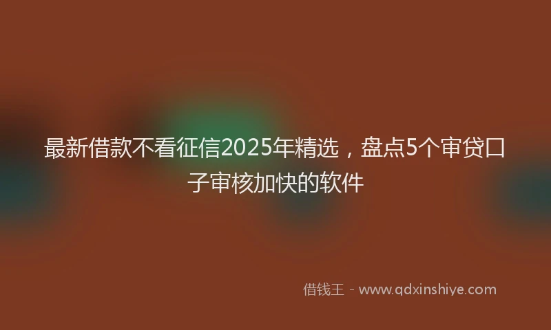 最新借款不看征信2025年精选，盘点5个审贷口子审核加快的软件