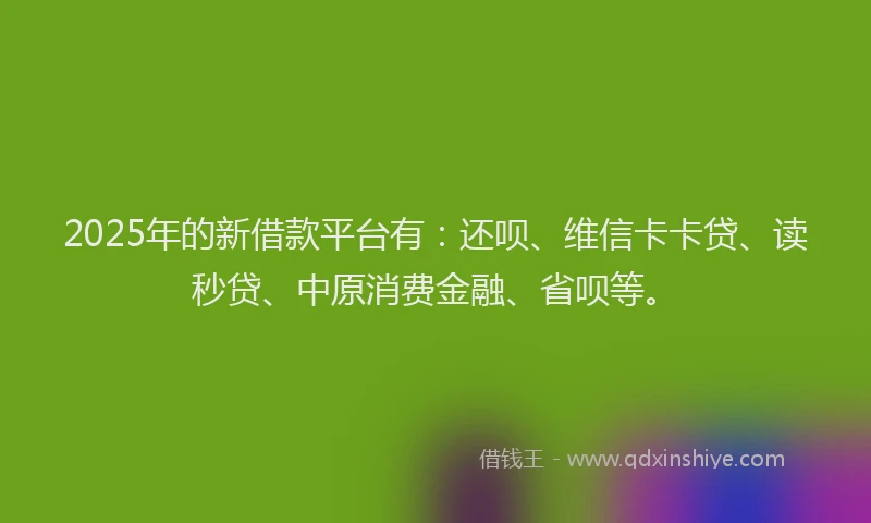 2025年的新借款平台有：还呗、维信卡卡贷、读秒贷、中原消费金融、省呗等。
