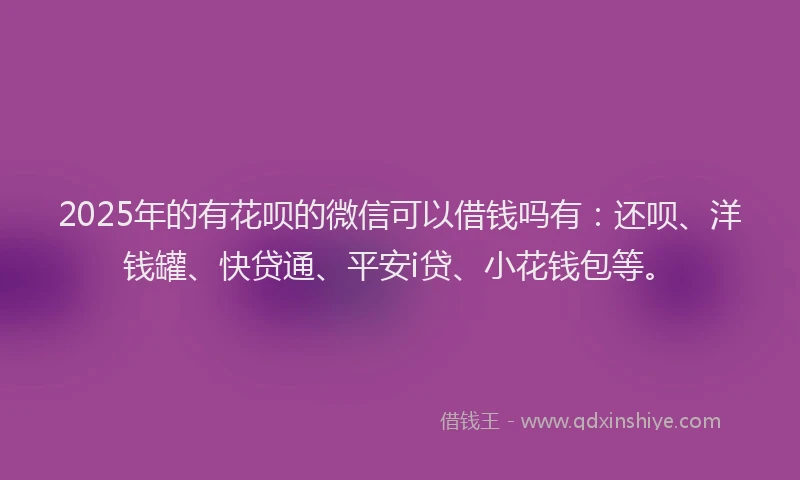 2025年的有花呗的微信可以借钱吗有：还呗、洋钱罐、快贷通、平安i贷、小花钱包等。