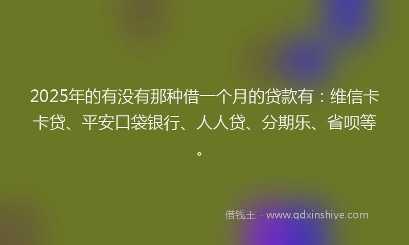 2025年的有没有那种借一个月的贷款有：维信卡卡贷、平安口袋银行、人人贷、分期乐、省呗等。