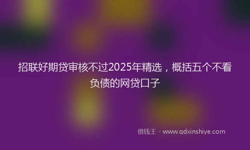 招联好期贷审核不过2025年精选，概括五个不看负债的网贷口子