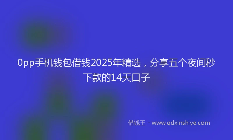 0pp手机钱包借钱2025年精选，分享五个夜间秒下款的14天口子