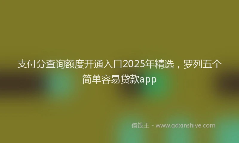 支付分查询额度开通入口2025年精选，罗列五个简单容易贷款app