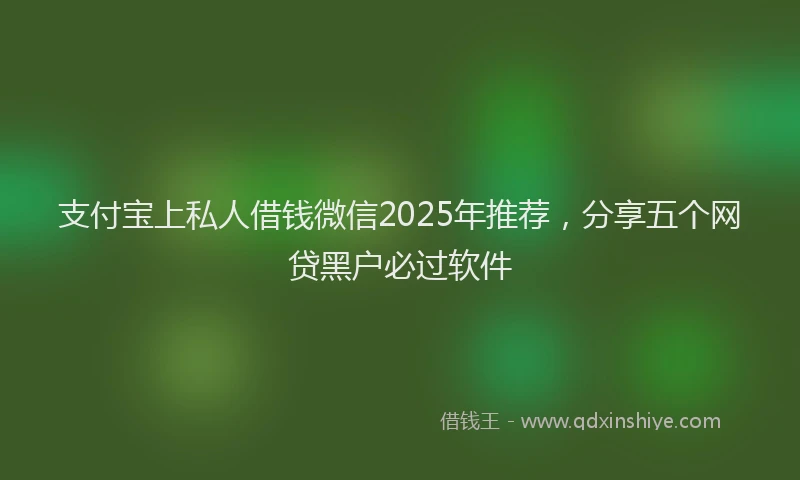 支付宝上私人借钱微信2025年推荐，分享五个网贷黑户必过软件