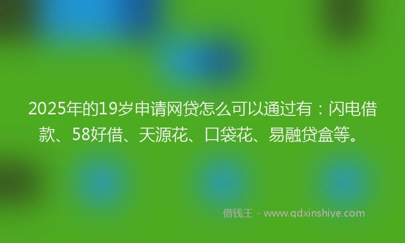 2025年的19岁申请网贷怎么可以通过有：闪电借款、58好借、天源花、口袋花、易融贷盒等。