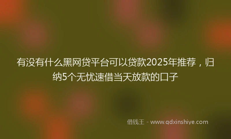 有没有什么黑网贷平台可以贷款2025年推荐，归纳5个无忧速借当天放款的口子