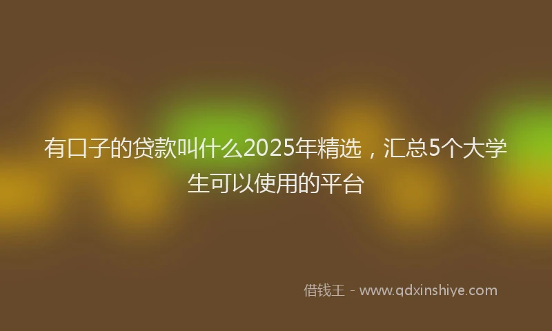 有口子的贷款叫什么2025年精选，汇总5个大学生可以使用的平台