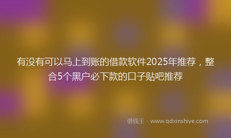 有没有可以马上到账的借款软件2025年推荐，整合5个黑户必下款的口子贴吧推荐