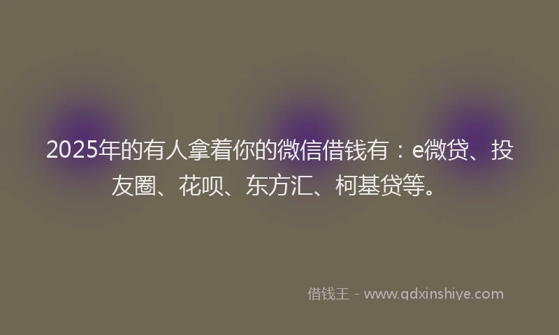 2025年的有人拿着你的微信借钱有：e微贷、投友圈、花呗、东方汇、柯基贷等。