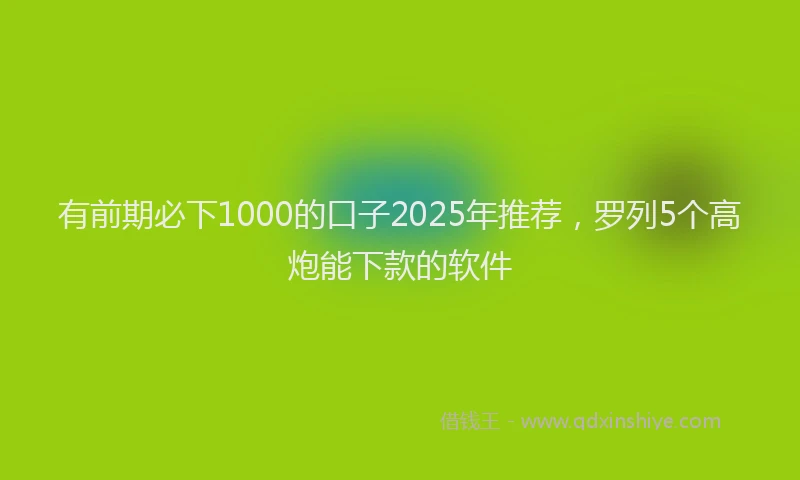 有前期必下1000的口子2025年推荐，罗列5个高炮能下款的软件