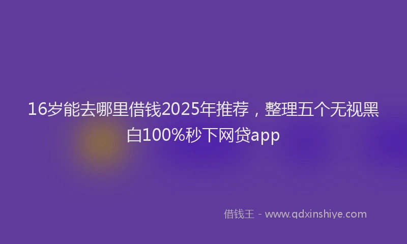 16岁能去哪里借钱2025年推荐，整理五个无视黑白100%秒下网贷app
