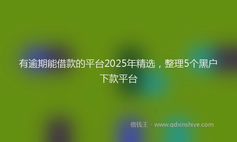 有逾期能借款的平台2025年精选，整理5个黑户下款平台