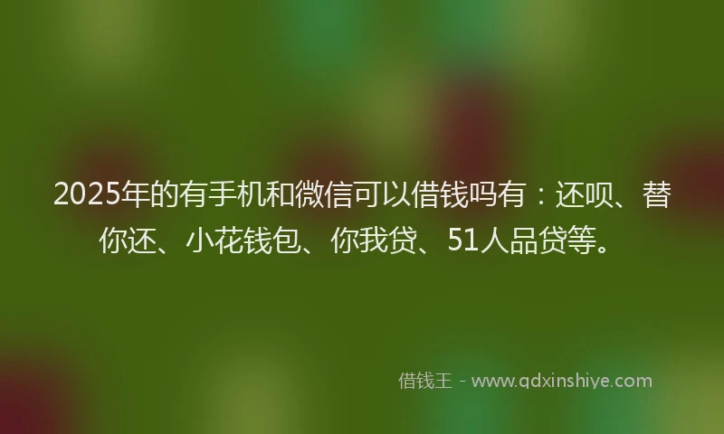 2025年的有手机和微信可以借钱吗有：还呗、替你还、小花钱包、你我贷、51人品贷等。