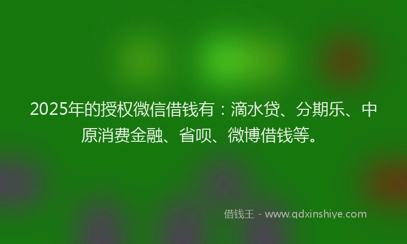 2025年的授权微信借钱有：滴水贷、分期乐、中原消费金融、省呗、微博借钱等。