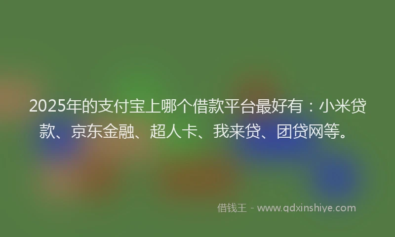 2025年的支付宝上哪个借款平台最好有：小米贷款、京东金融、超人卡、我来贷、团贷网等。
