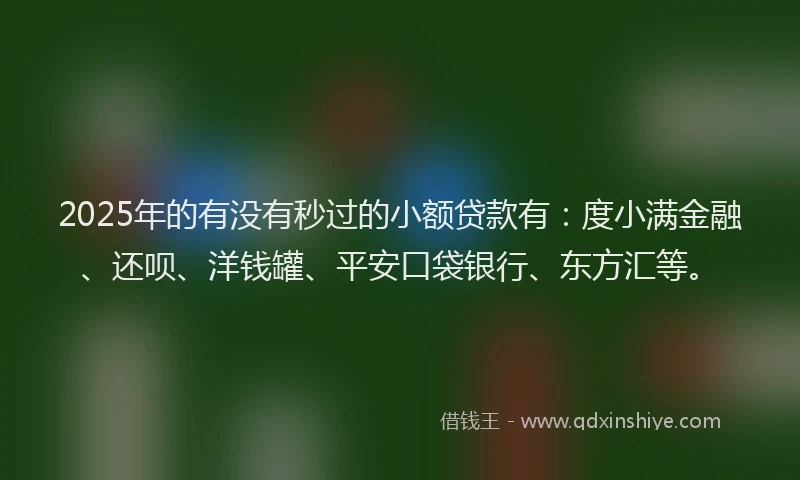 2025年的有没有秒过的小额贷款有：度小满金融、还呗、洋钱罐、平安口袋银行、东方汇等。