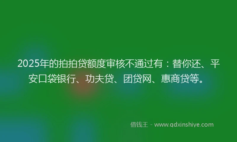 2025年的拍拍贷额度审核不通过有：替你还、平安口袋银行、功夫贷、团贷网、惠商贷等。