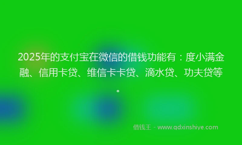 2025年的支付宝在微信的借钱功能有：度小满金融、信用卡贷、维信卡卡贷、滴水贷、功夫贷等。