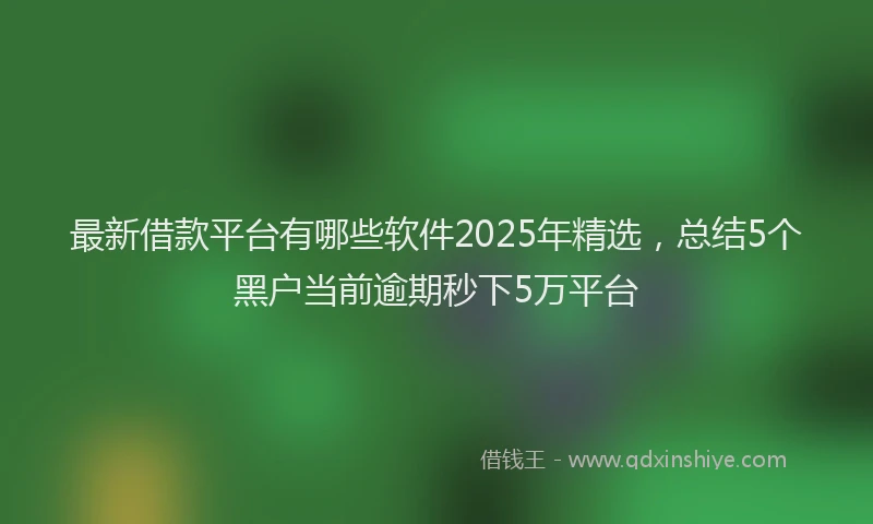 最新借款平台有哪些软件2025年精选，总结5个黑户当前逾期秒下5万平台