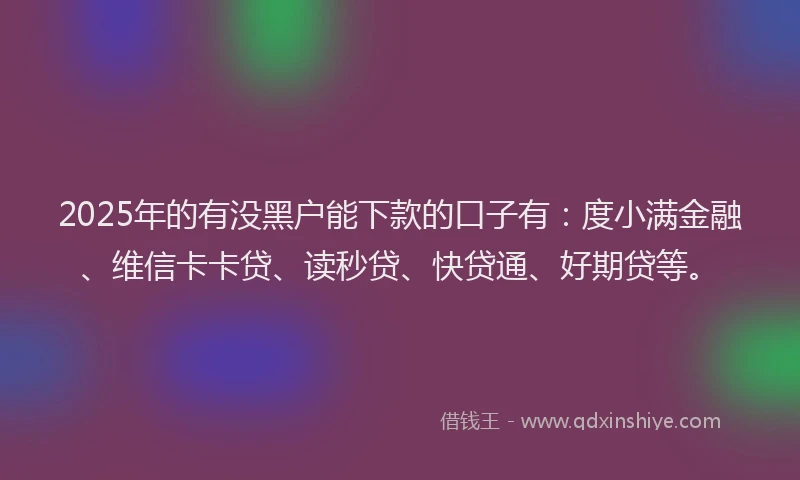 2025年的有没黑户能下款的口子有：度小满金融、维信卡卡贷、读秒贷、快贷通、好期贷等。